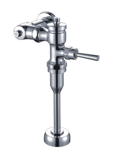 Urinal -Flush -Ventil freigelegt